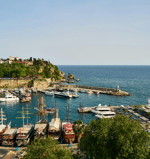 A Global Destination for Health Tourism